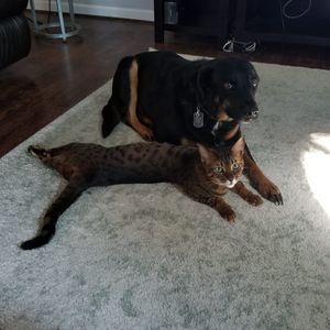 Meet your Posher, Jonathan